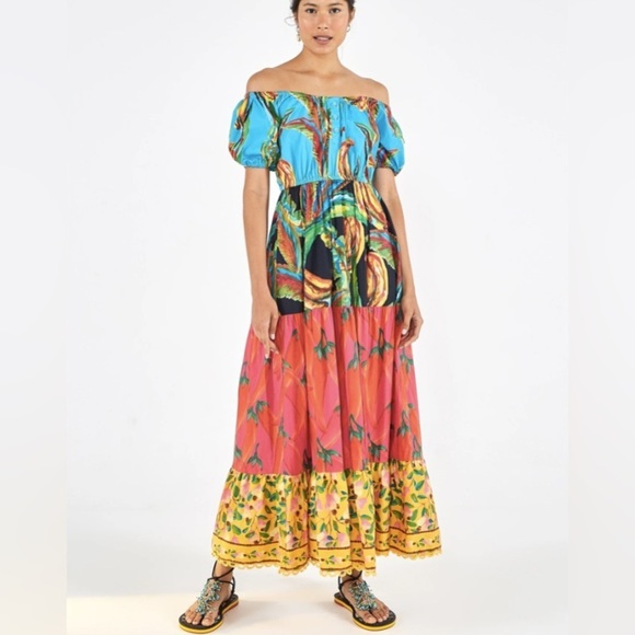 NWT Farm Rio Floral Maxi Dress - Picture 1 of 9
